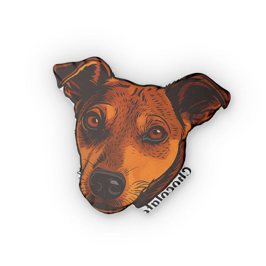 Custom Shaped Pillows